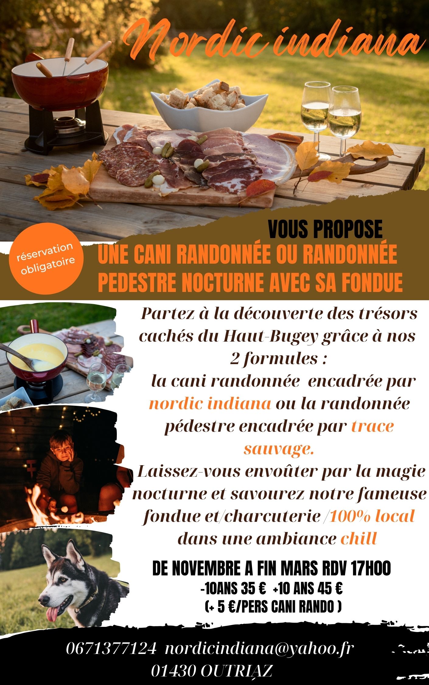 cani-randonnée nocturne